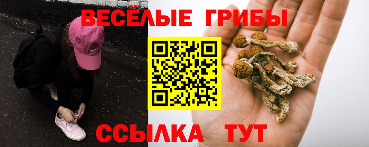 где можно купить   Вход с VPN  Серпухов  Псилоцибиновые грибы Cubensis 